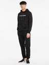 Puma Čierna pánska mikina Puma AS Graphic Hoodie
