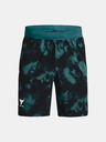 Under Armour Pánske kraťasy Under Armour Pjt Rock Printed Wvn Short