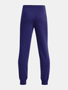 Under Armour Under Armour UA Rival Terry Joggers-BLU