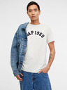GAP fgapfit GAP