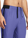 Under Armour Pánske nohavice Under Armour UA M's Ch. Pro Pant