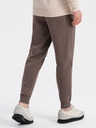 Ombre Clothing Hnedé pánske cargo nohavice Ombre Oblečenie