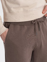 Ombre Clothing Hnedé pánske cargo nohavice Ombre Oblečenie