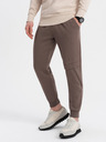 Ombre Clothing Hnedé pánske cargo nohavice Ombre Oblečenie