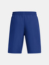 Under Armour Chlapčenské kraťasy Under Armour UA Tech Woven Wordmark Short