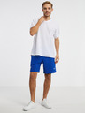 Under Armour Pánske kraťasy Under Armour UA Pjt Rck Snap Shorts